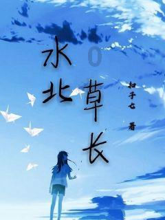 福莱纳找车轮