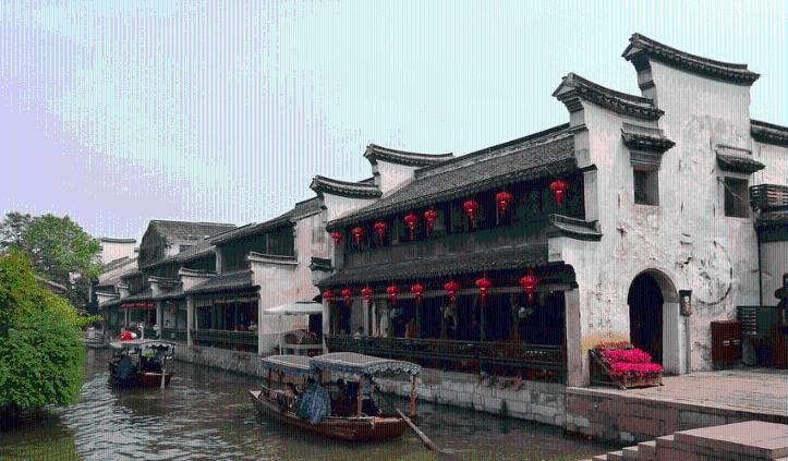 组装机械机甲暴龙2